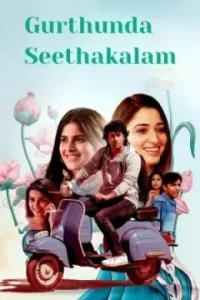 Gurthunda Seethakalam 2022 Hindi + Telugu South Movie HD